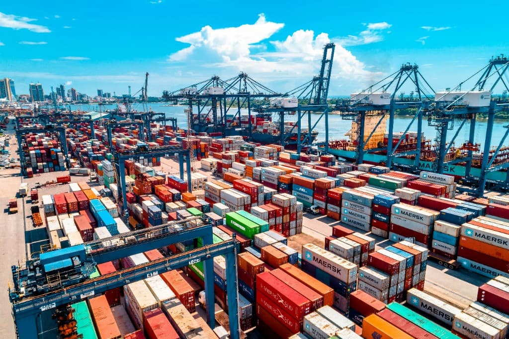Container terminal with cranes and stacked containers